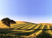 Chineses avan&ccedil;am para novo projeto de energias renov&aacute;veis no Alentejo